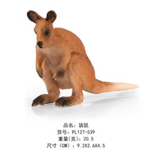 Load image into Gallery viewer, Simulation Wild Zoo Animals  Action Figures